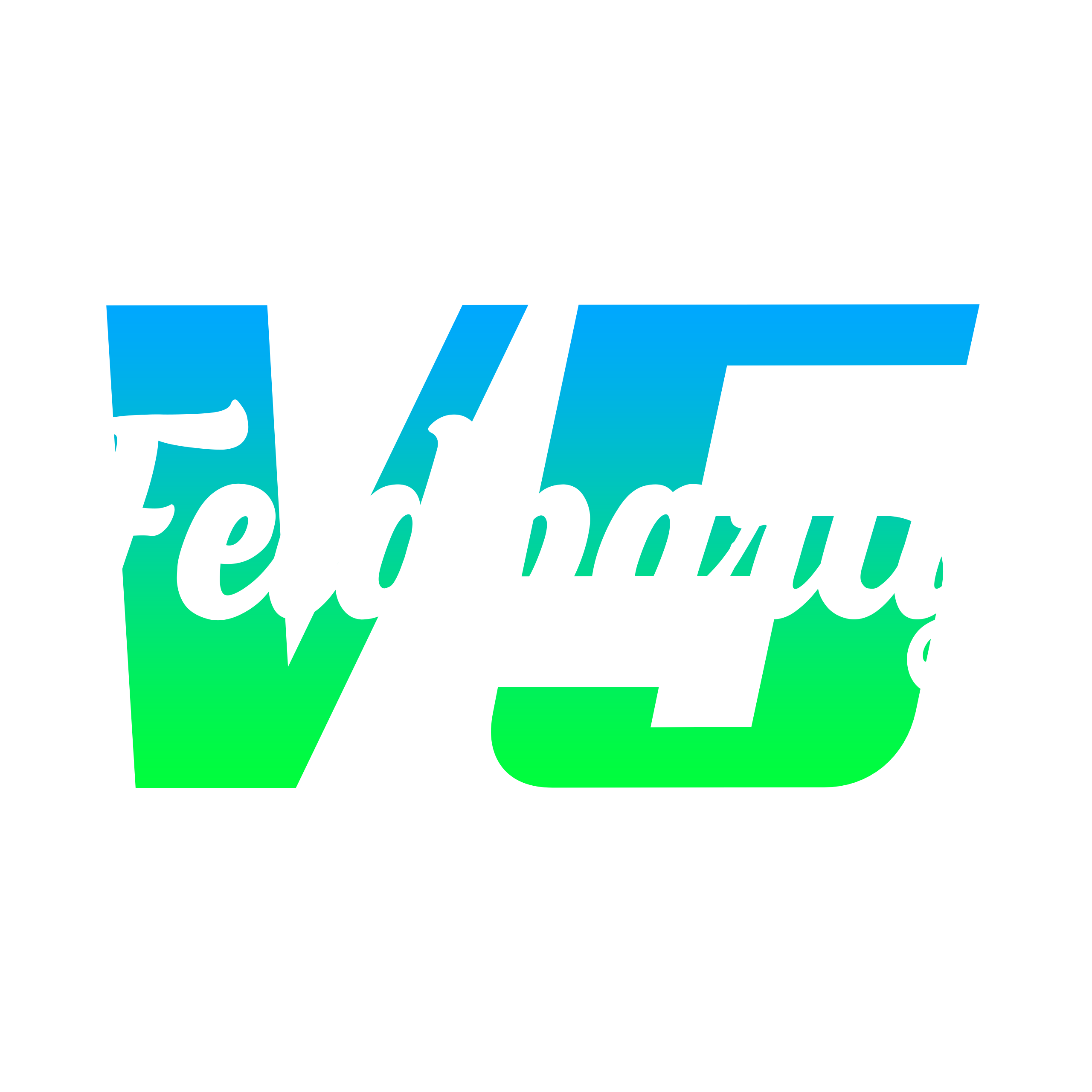 Feldparty V5 Logo